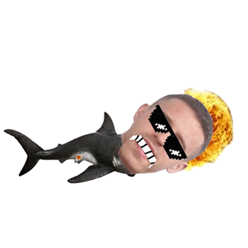 Shark with Ryan's head
